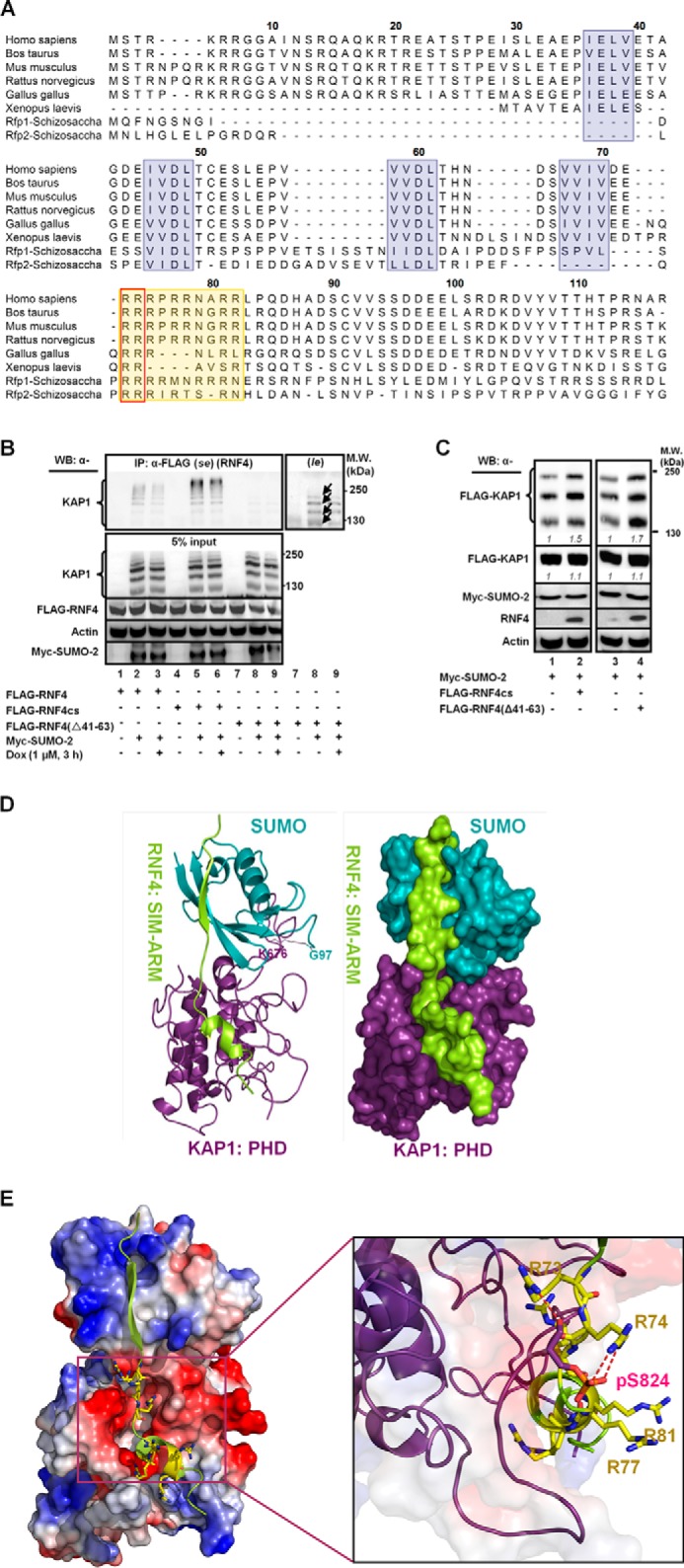 FIGURE 4.