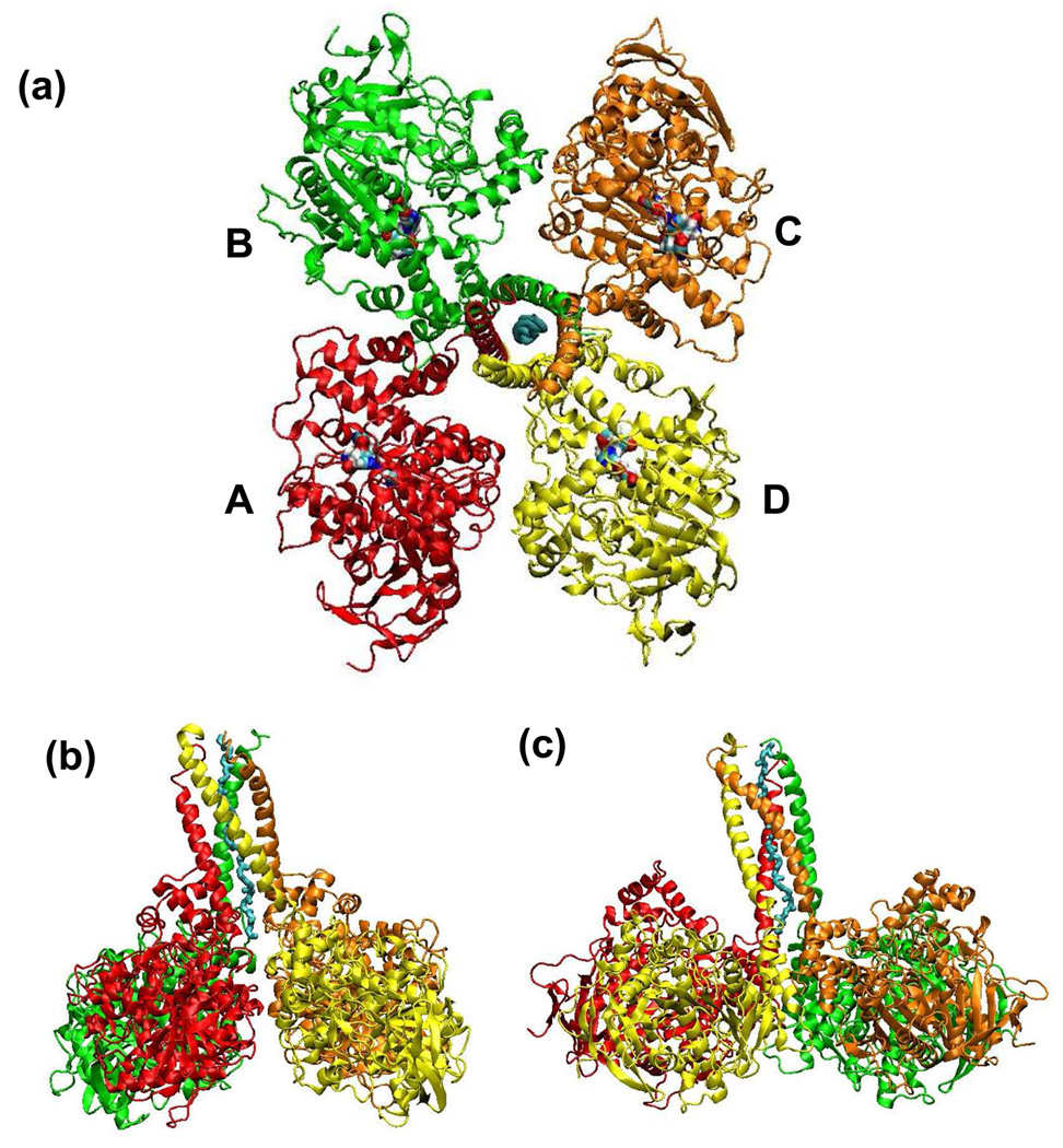 Figure 4