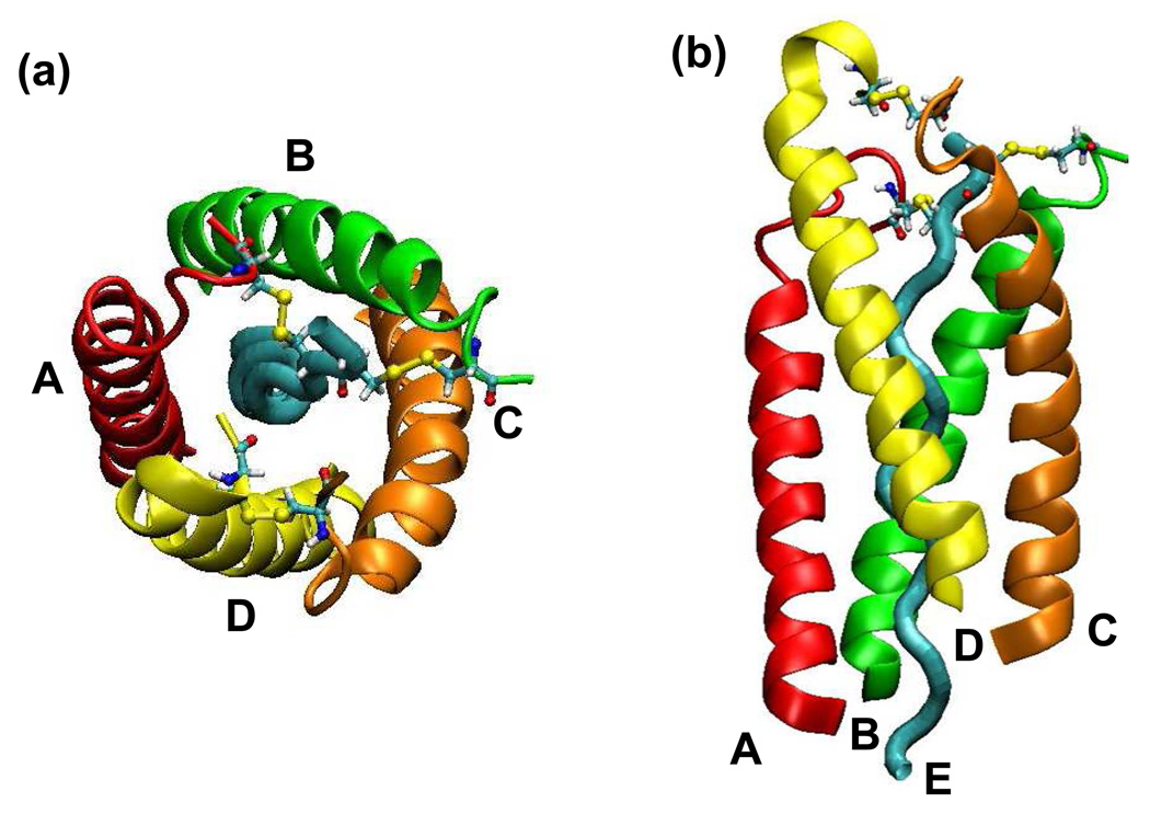 Figure 5