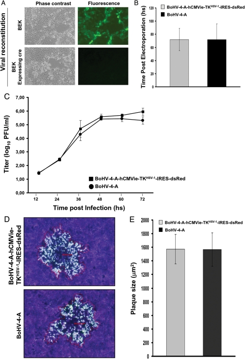 Fig. 2.