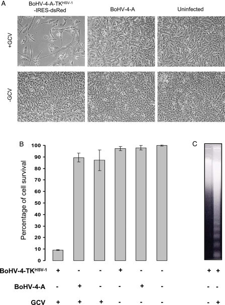 Fig. 4.