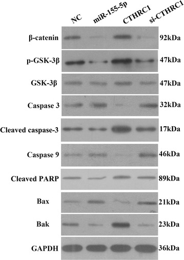 Fig. 6