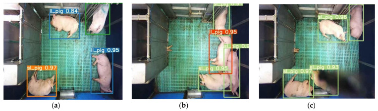 Figure 11