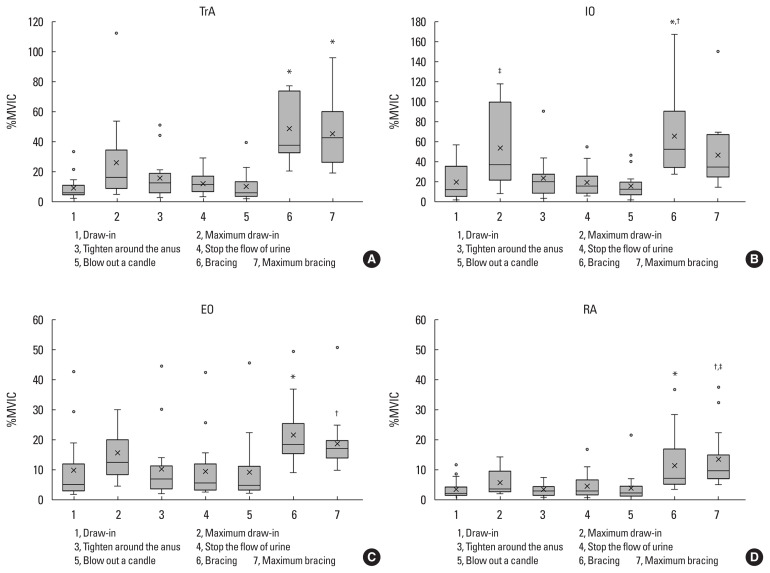 Comparison of abdominal muscle - Jer 18 4 264f1