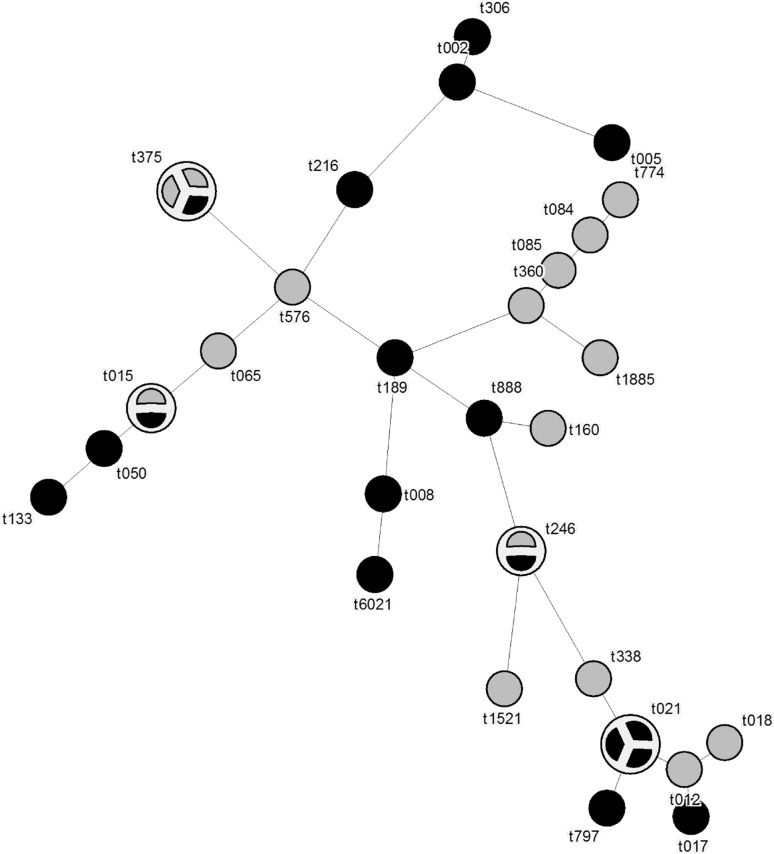 Fig. 3