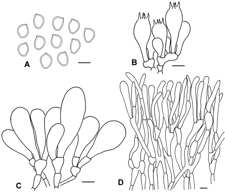 Figure 6.