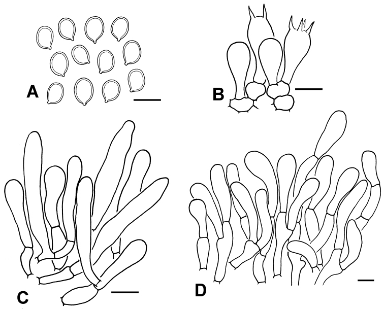 Figure 4.