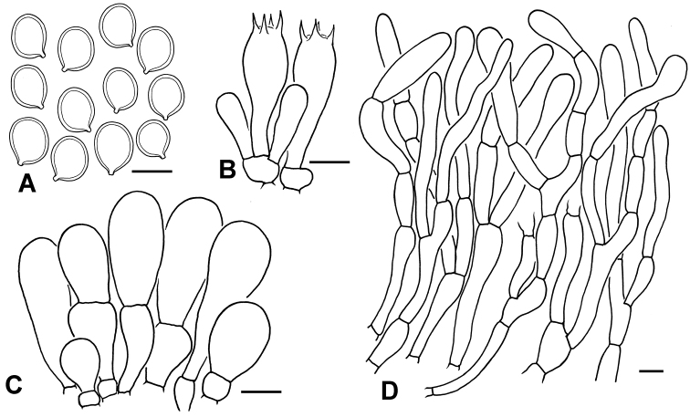 Figure 5.