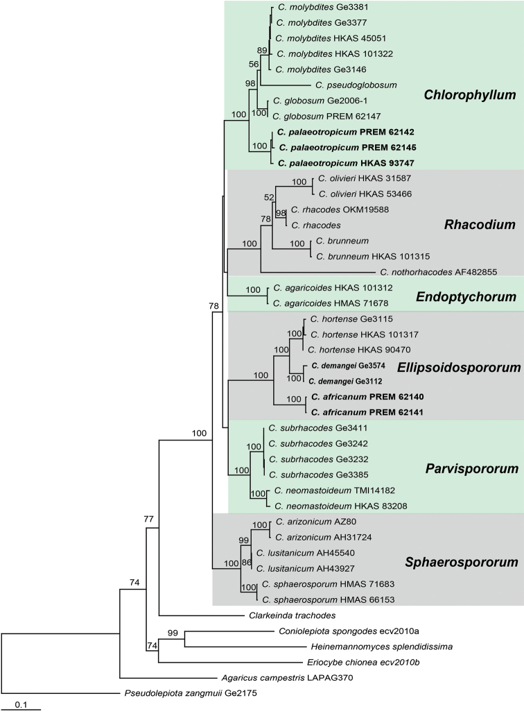 Figure 2.