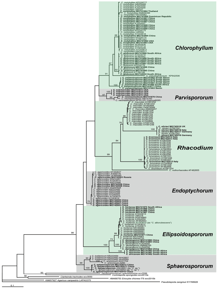 Figure 1.