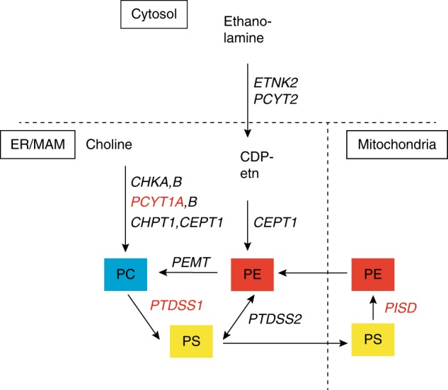 Fig. 4