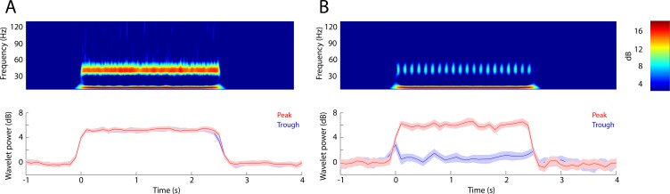 Figure 1—figure supplement 2.