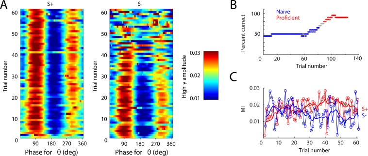 Figure 2—figure supplement 1.