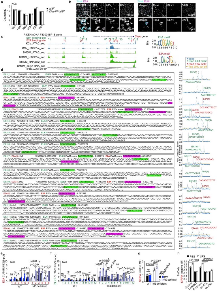 Extended Data Fig. 8