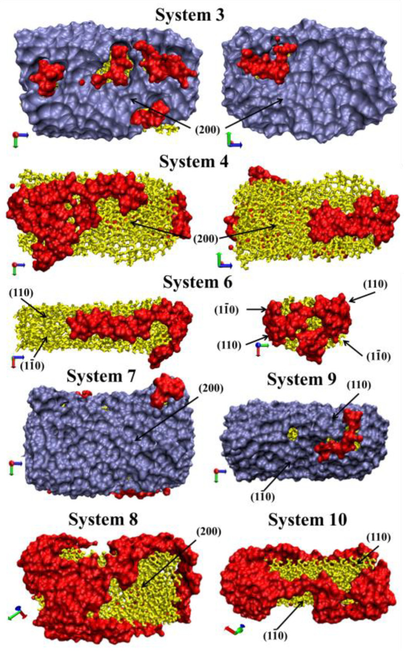 Figure 7