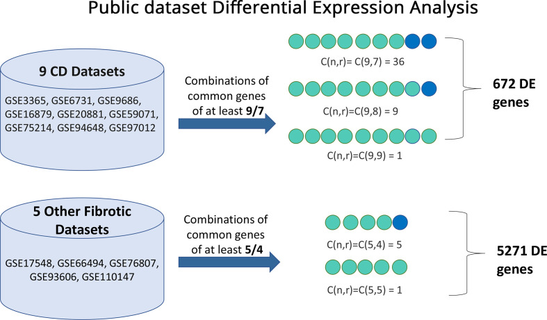 Figure 1