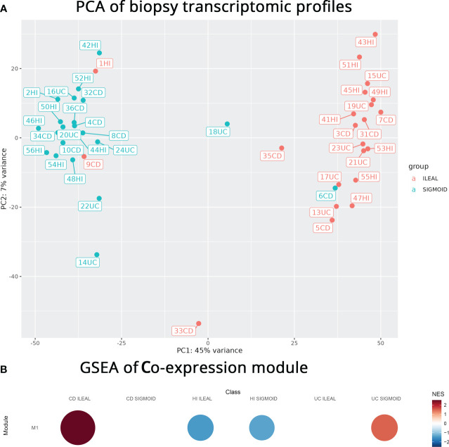 Figure 4