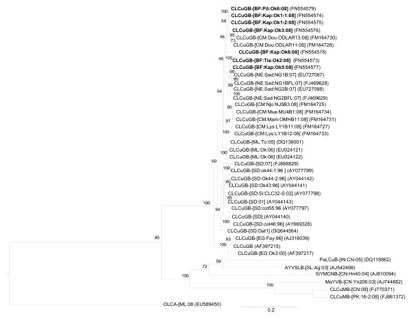 Figure 2