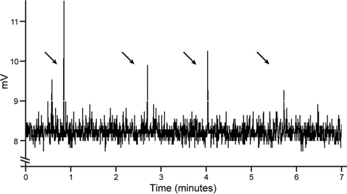 FIG 1 