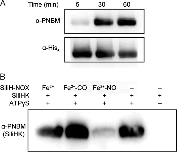 FIG 2 