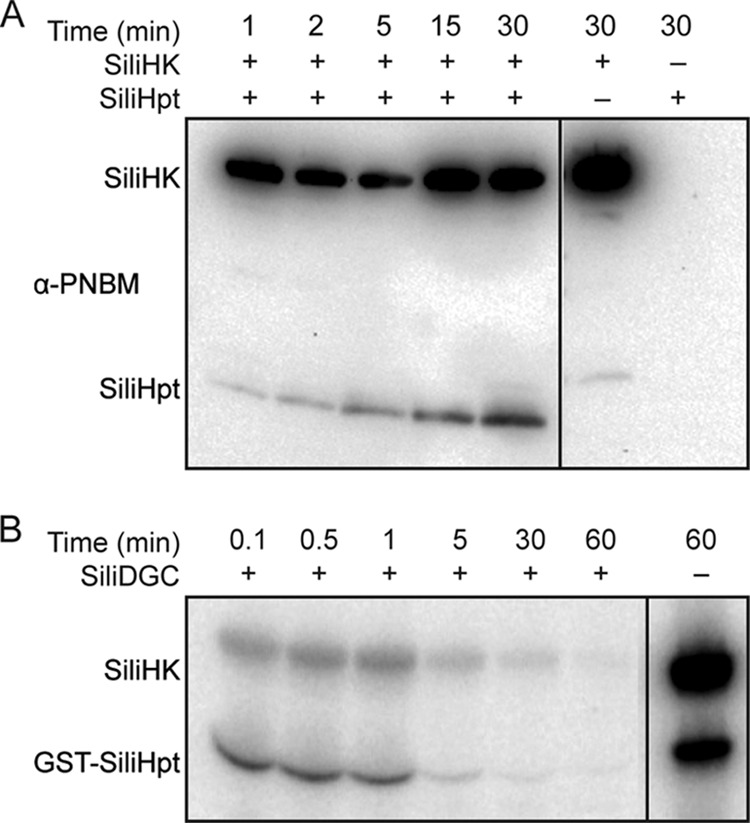 FIG 3 