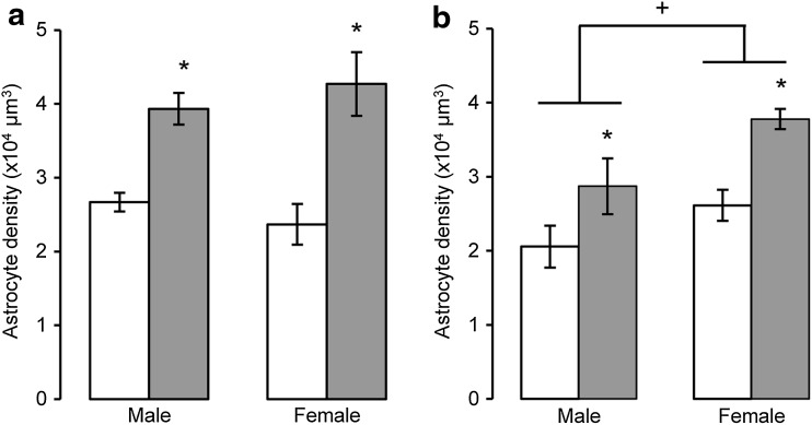 Fig. 6