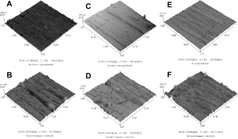 Figure 2. Images by atomic force microscopy: wire 0.017 × 0.025-inch new (A) and after 24 months (B); wire 0.018 × 0.025-inch new (C) and after 24 months (D); wire 0.019 × 0.025-inch new (E) and after 24 months (F).