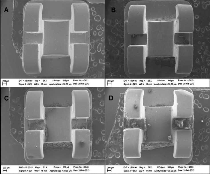 Figure 1. Images by scanning electron microscopy. (A) Group C (control, new bracket). (B–D) Groups T12, T24, and T36 (brackets recovered after 12, 24, and 36 months of treatment, respectively).