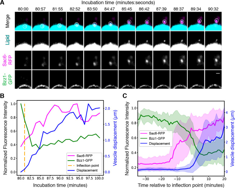 Figure 3.