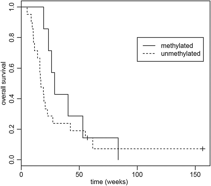 Fig. 10.