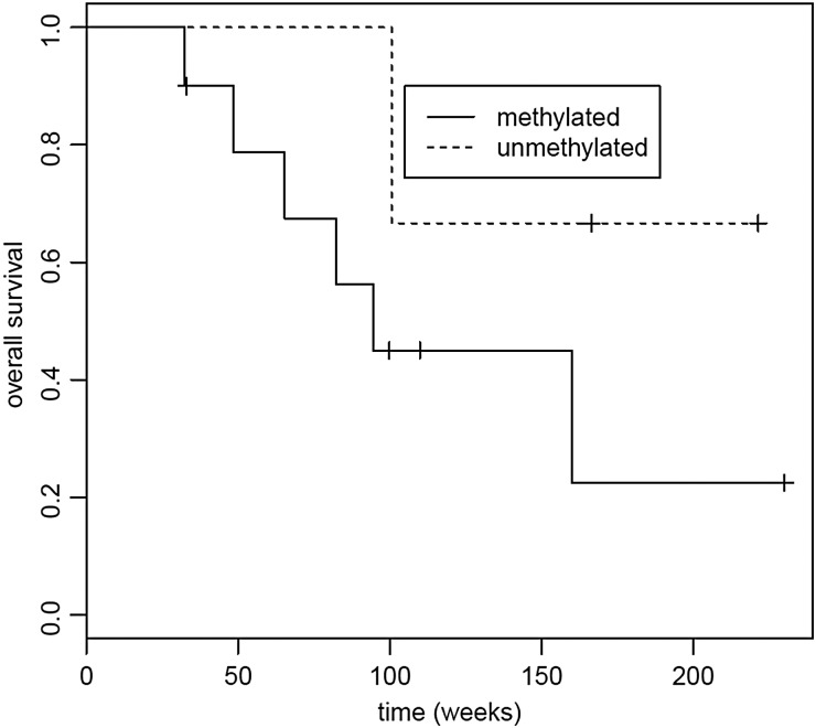 Fig. 8.