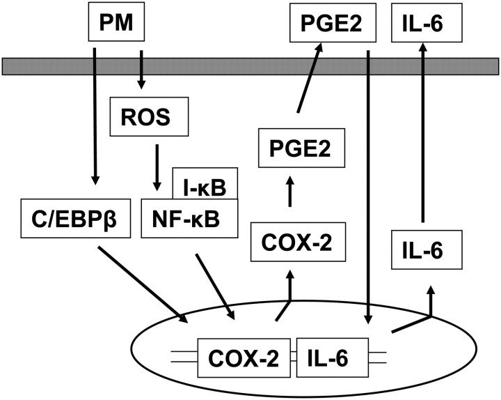 Figure 11.