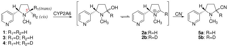 Scheme 1