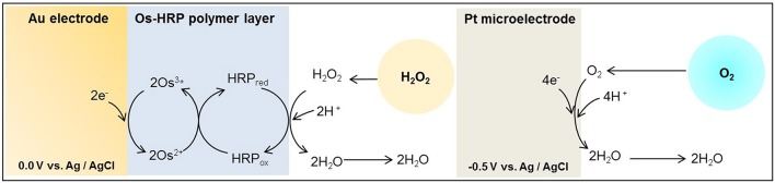 Scheme I