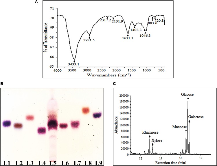 FIGURE 1