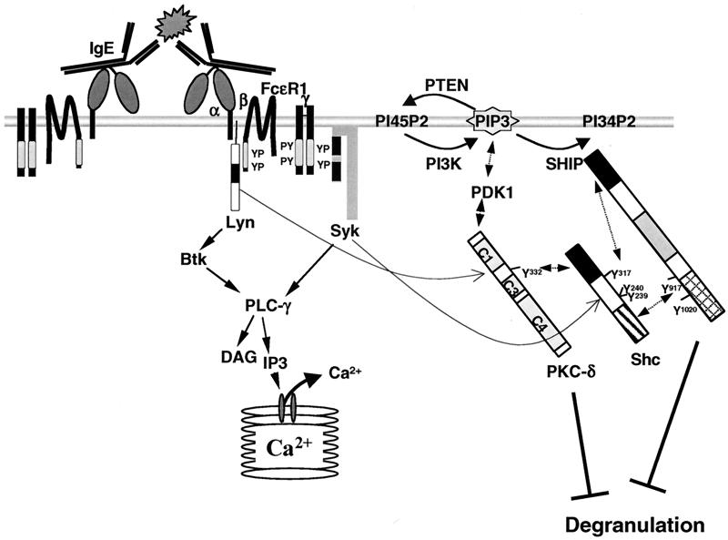 FIG. 7.