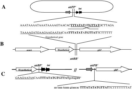 FIG. 5.