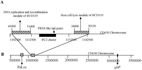 FIG. 7.