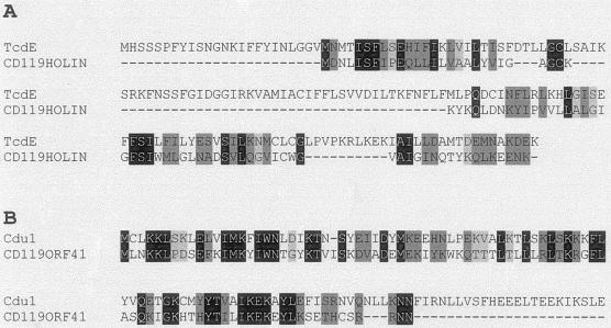 FIG.8.