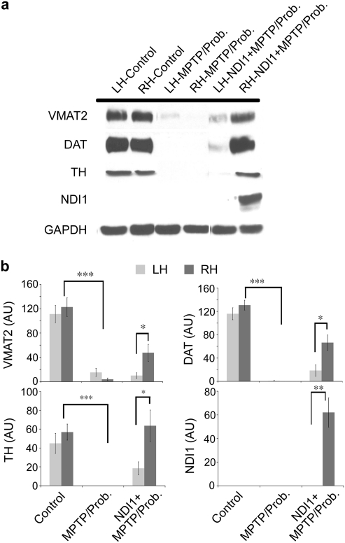 FIG. 4.