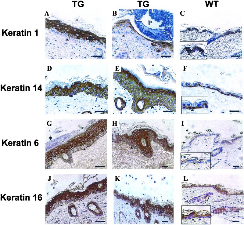 FIG. 7.