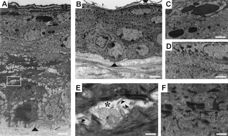 FIG. 5.