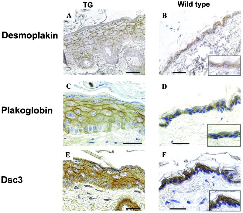 FIG. 9.