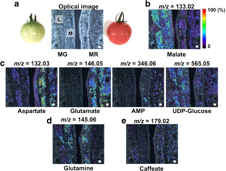 Fig. 3