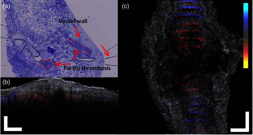 Fig. 9