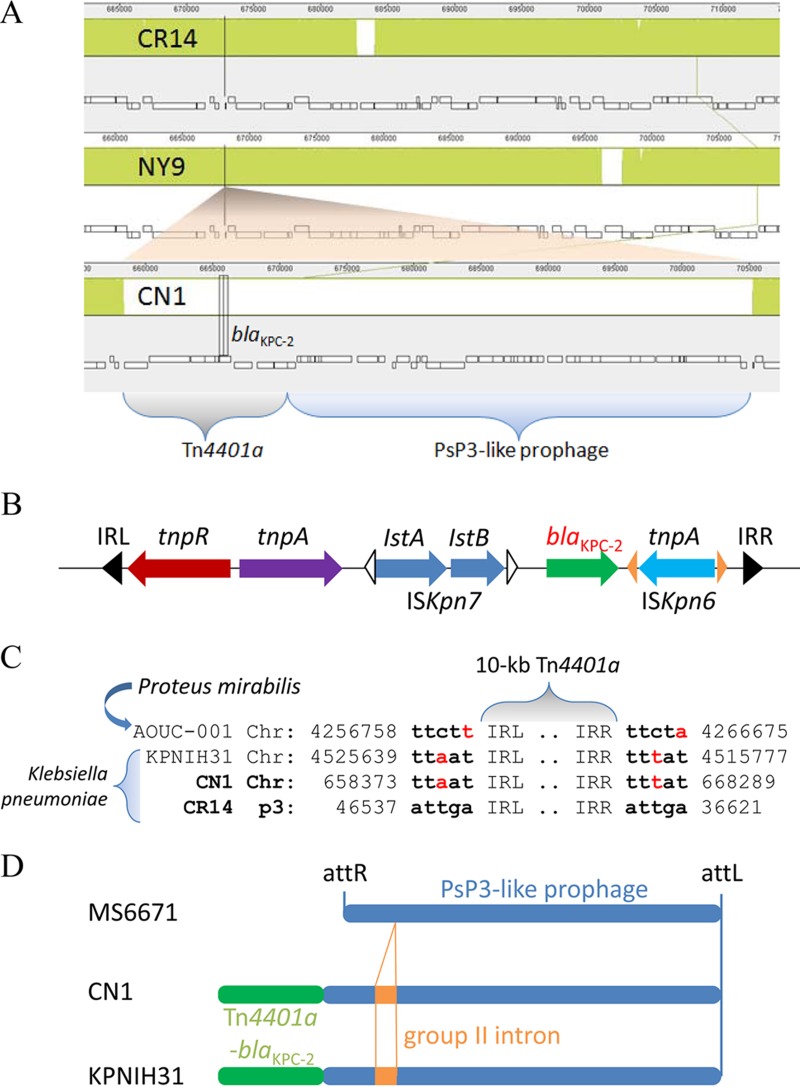 FIG 3