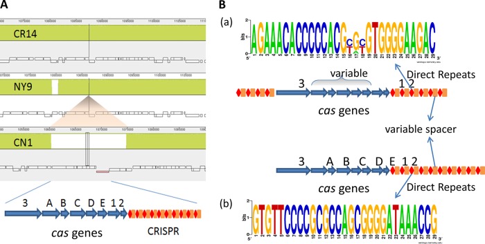 FIG 4