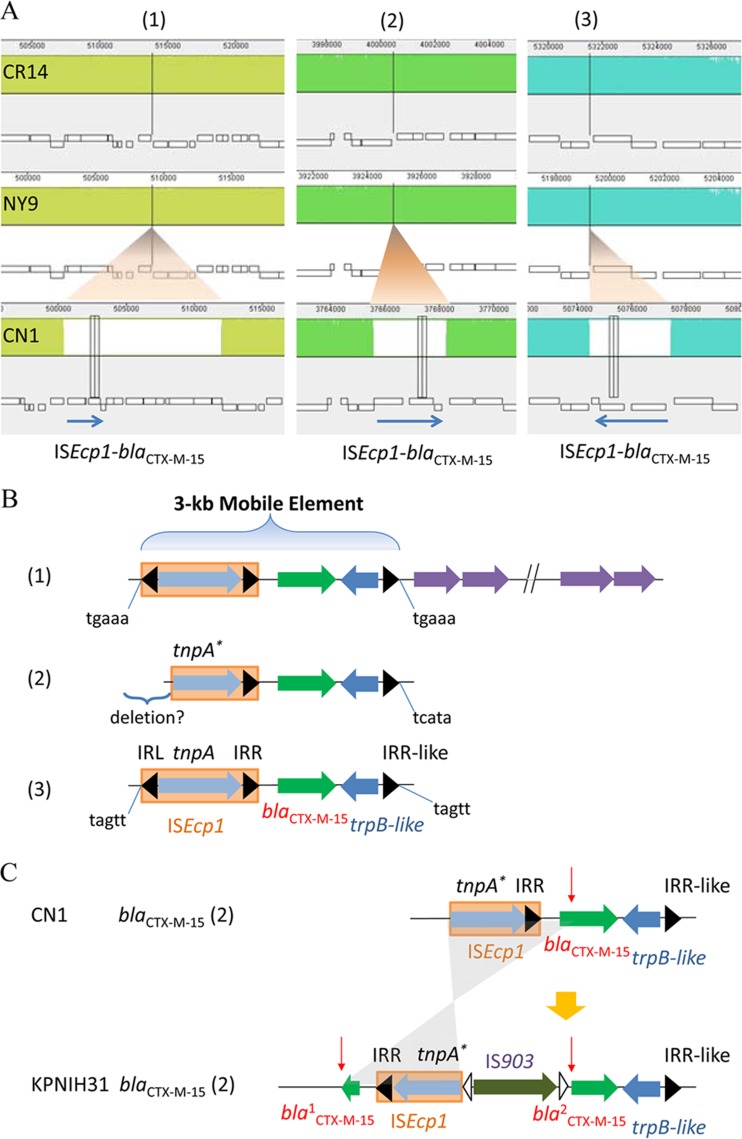 FIG 2