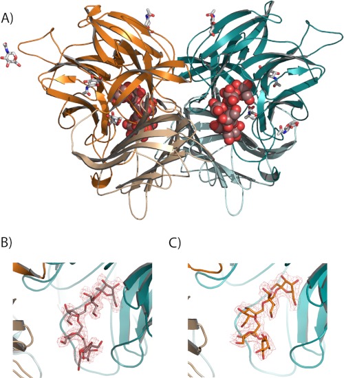 FIGURE 2.