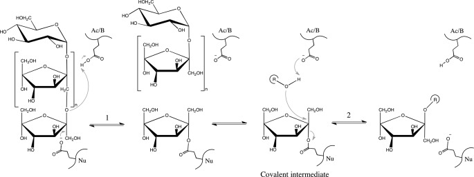 FIGURE 1.